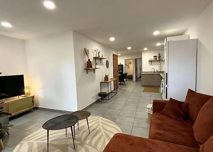 Tres Bel Appartement Climatise - Chez Tom Et Anna